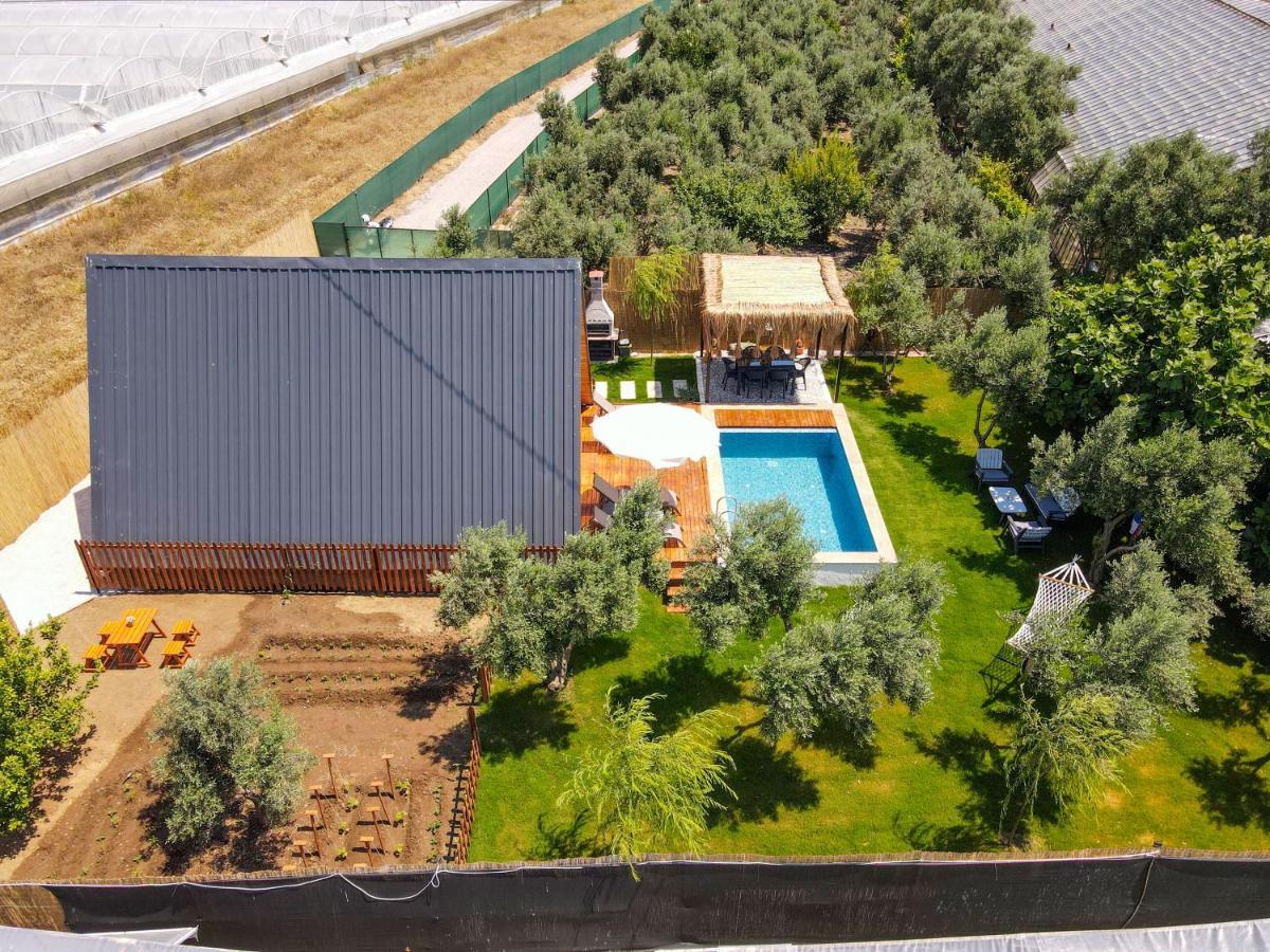Assevilla Вилла